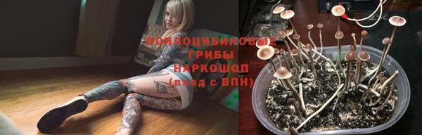 метадон Рославль