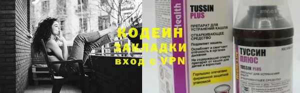 гашик Алексин