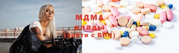 гашик Алексин