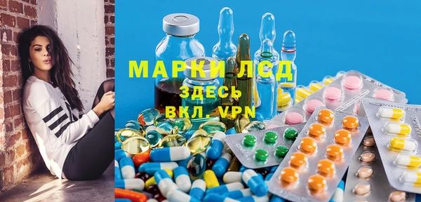 гашик Алексин