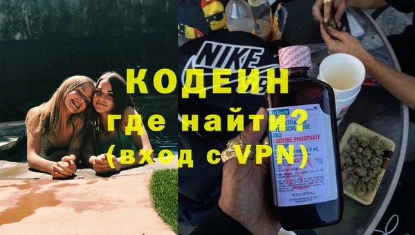 гашик Алексин