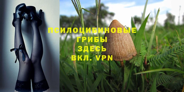 тгк Алзамай